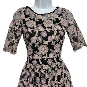 ASOS TD True Decadence Petite 4 fairy whimseygoth lace emb floral dress